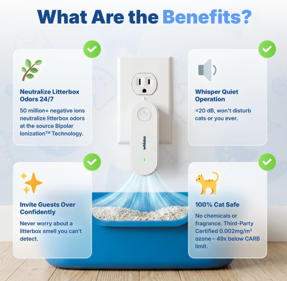 Airpurr purificateur d'air